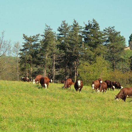 Gites A La Ferme De Bacon Saint-Sylvestre  Eksteriør billede
