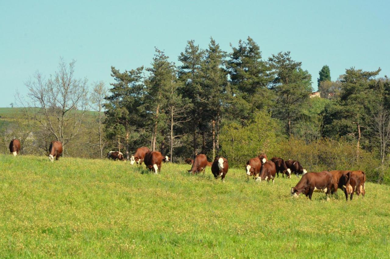 Gites A La Ferme De Bacon Saint-Sylvestre  Eksteriør billede